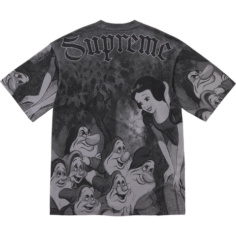 Supreme Snow White S/S Top - Grey