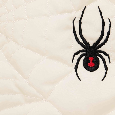 Supreme Supreme®/Spyder® Technical Jacket - Stone