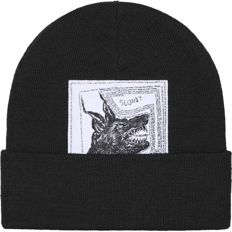 Supreme®/The North Face® Beanie - fall/winter 2024 - Supreme