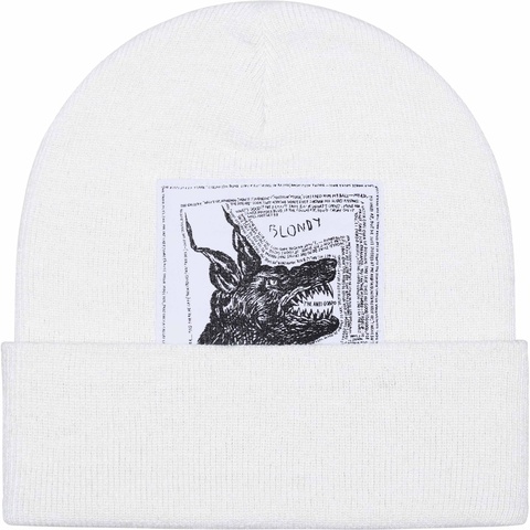Supreme®/The North Face® Beanie - fall/winter 2024 - Supreme