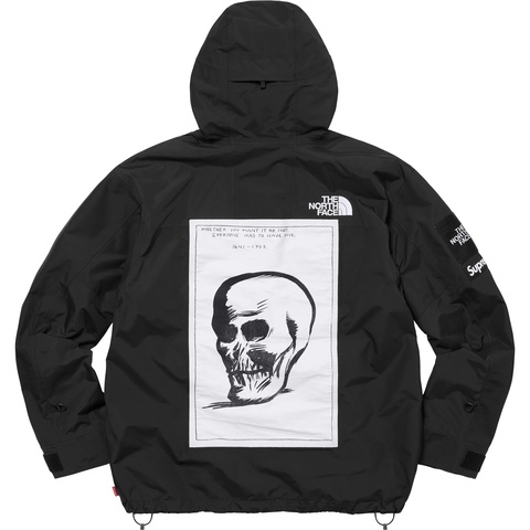 Supreme®/The North Face® Mountain Jacket - Supreme