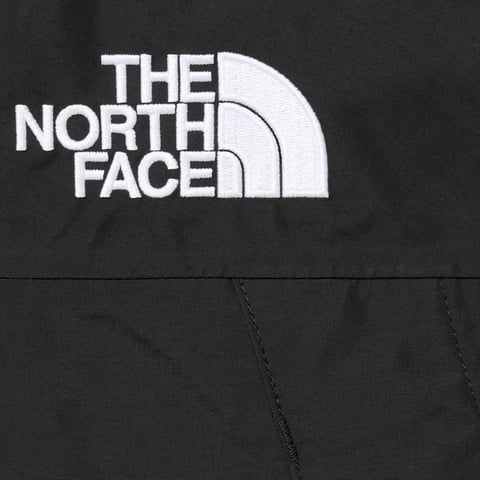 Supreme®/The North Face® Mountain Jacket - Supreme