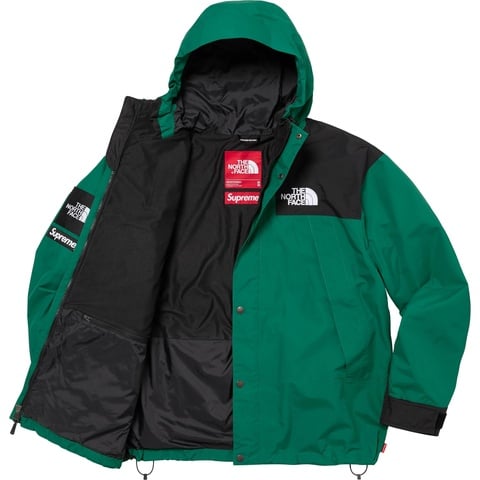 Supreme®/The North Face® Mountain Jacket - Supreme
