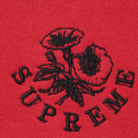 Wild Embroidered Hooded Sweatshirt - Supreme