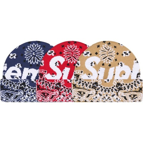 Fuck Money Beanie - fall/winter 2024 - Supreme