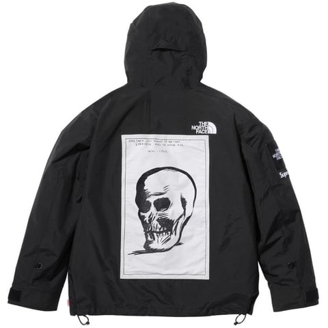 Supreme®/The North Face® Mountain Jacket - Supreme