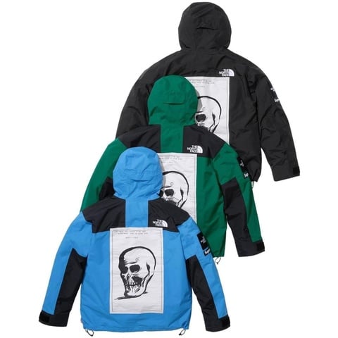 Supreme®/The North Face® Mountain Jacket - Supreme