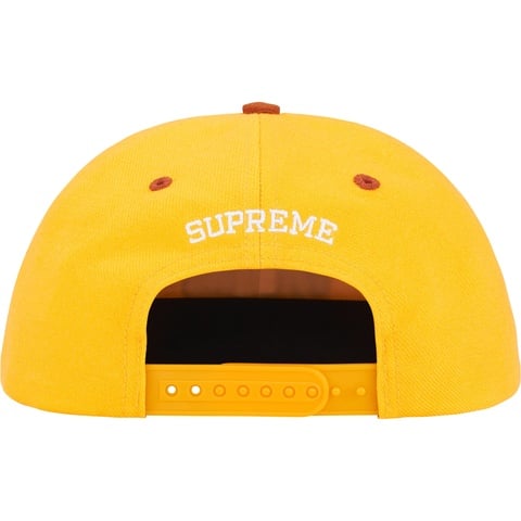 Pledge Allegiance 6-Panel - SupremeCommunity