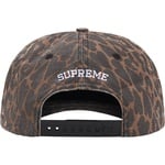 Supreme Supreme Number (N)ine 6-Panel (FW25) - Leopard