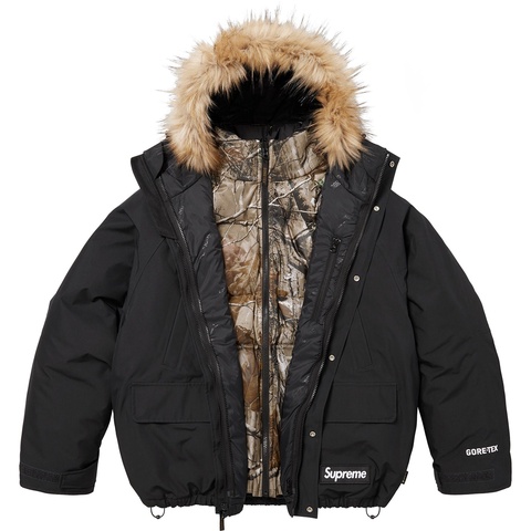 2-in-1 GORE-TEX Parka + Reversible 700-Fill Down Liner Jacket
