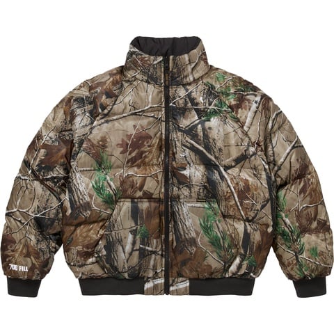 2-in-1 GORE-TEX Parka + Reversible 700-Fill Down Liner Jacket