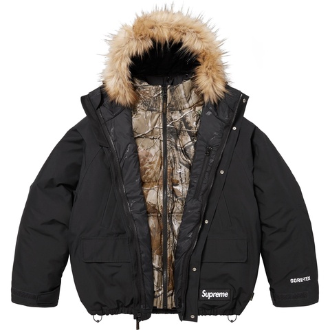 2-in-1 GORE-TEX Parka + Reversible 700-Fill Down Liner Jacket