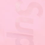 Supreme 2-in-1 GORE-TEX Parka + Reversible 700-Fill Down Liner Jacket (FW25) - Light Pink