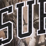 Supreme Supreme Mitchell & Ness Lined Hooded Satin Varsity Jacket (FW25) - Realtree® AP Camo