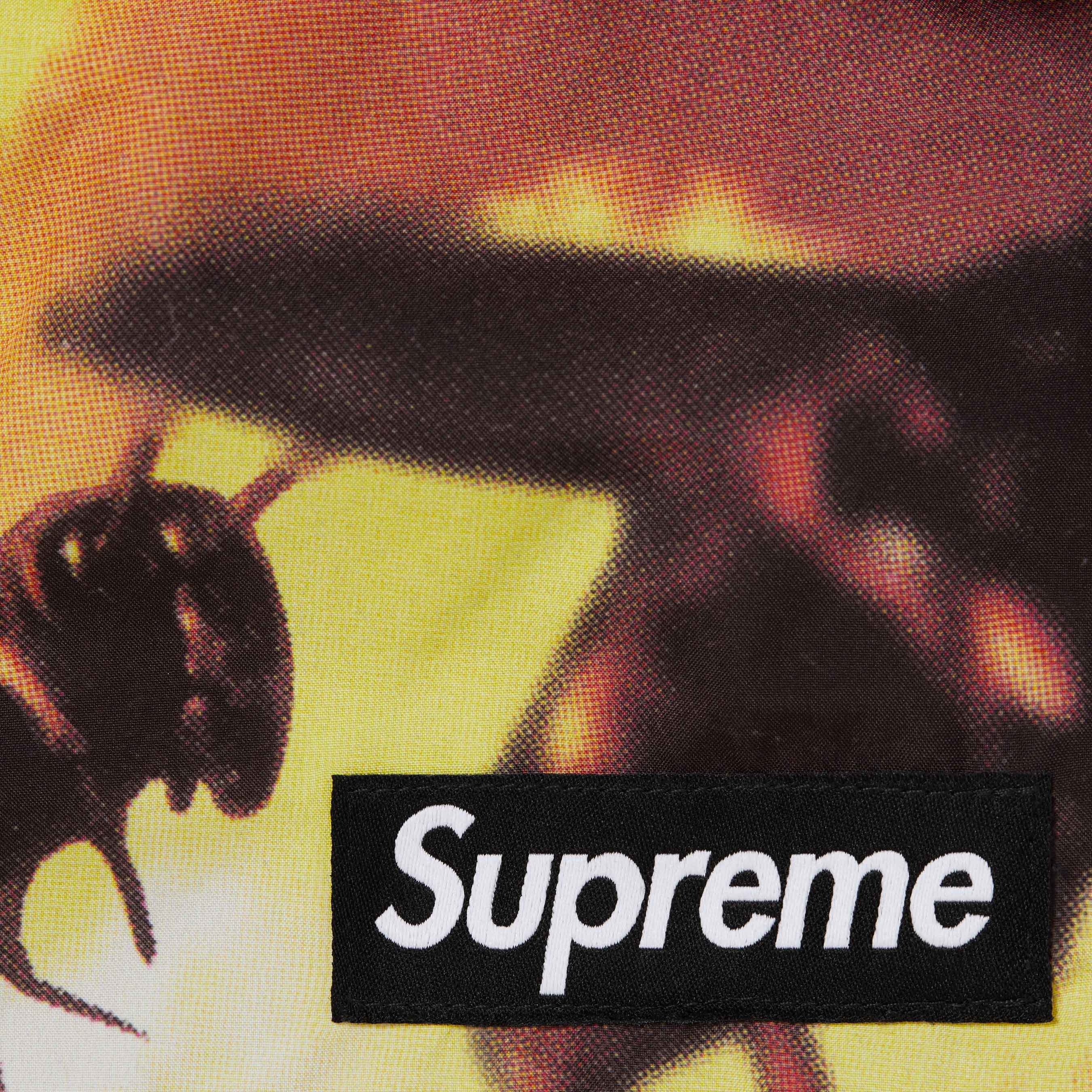 Supreme GORE-TEX Cargo Pant (FW25) - Multicolor - $288