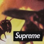 Supreme GORE-TEX Cargo Pant (FW25) - Multicolor