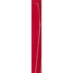 Supreme Polartec Reflective Piping Pant (FW25) - Red