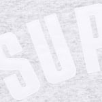 Supreme Arc Thermal Lined Zip Up Hooded Sweatshirt (FW25) - Ash Grey