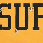 Supreme Stars Studded Hooded Sweatshirt (FW25) - Dusty Gold