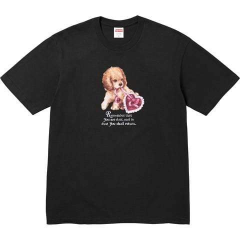 Dust Tee - fall/winter 2025 - Supreme