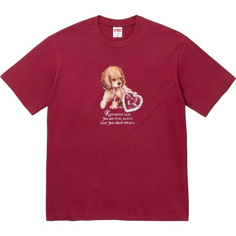 Dust Tee - fall/winter 2025 - Supreme