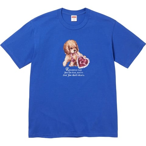 Supreme dust tee Tシャツ グレー medium Buy Supreme Dust Tee 'Ash Grey' - FW25T72 ASH GREY | GOAT