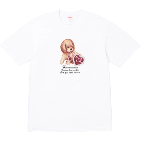 Dust Tee - fall/winter 2025 - Supreme