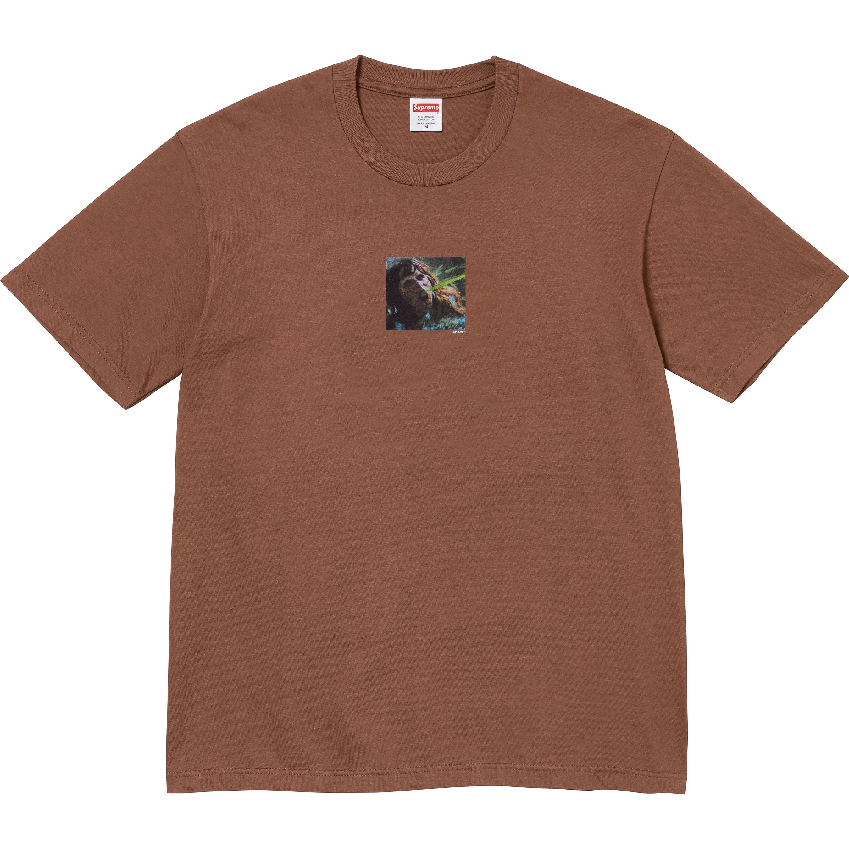 Supreme Supreme The Exorcist Puke Tee (FW25) - Brown - $48