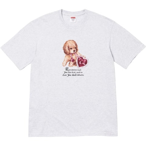 Dust Tee - fall/winter 2025 - Supreme