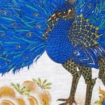 Supreme Peacock S S Top (FW25) - Ash Grey