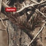 Supreme Small Box L S Tee (FW25) - Realtree® AP Camo