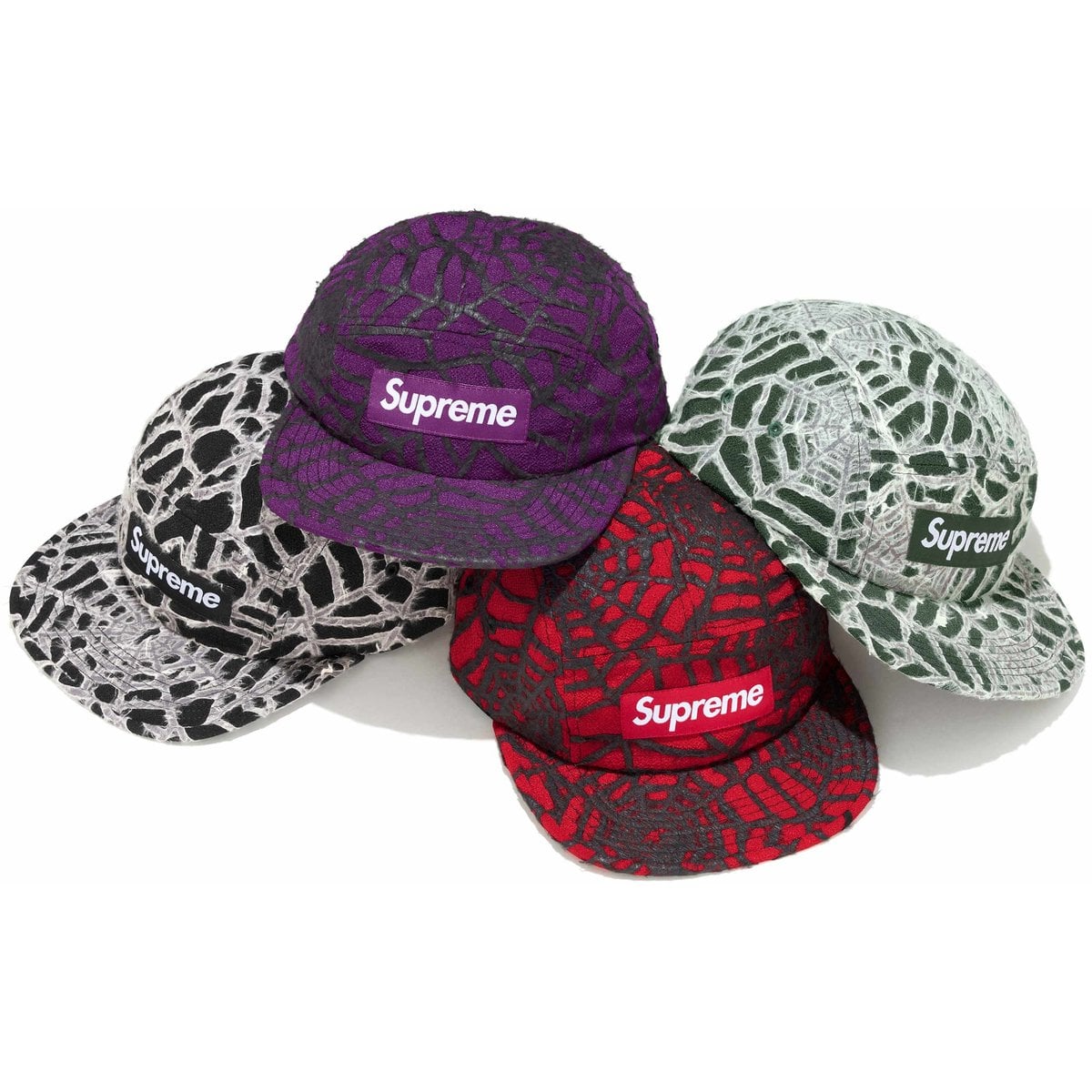 Spiderweb Camp Cap