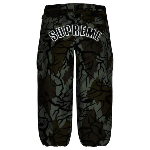 Supreme GORE-TEX Cargo Pant - Predator Camo