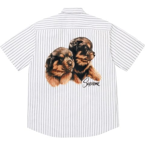 Supreme Puppies S/S Work Shirt - Stripe
