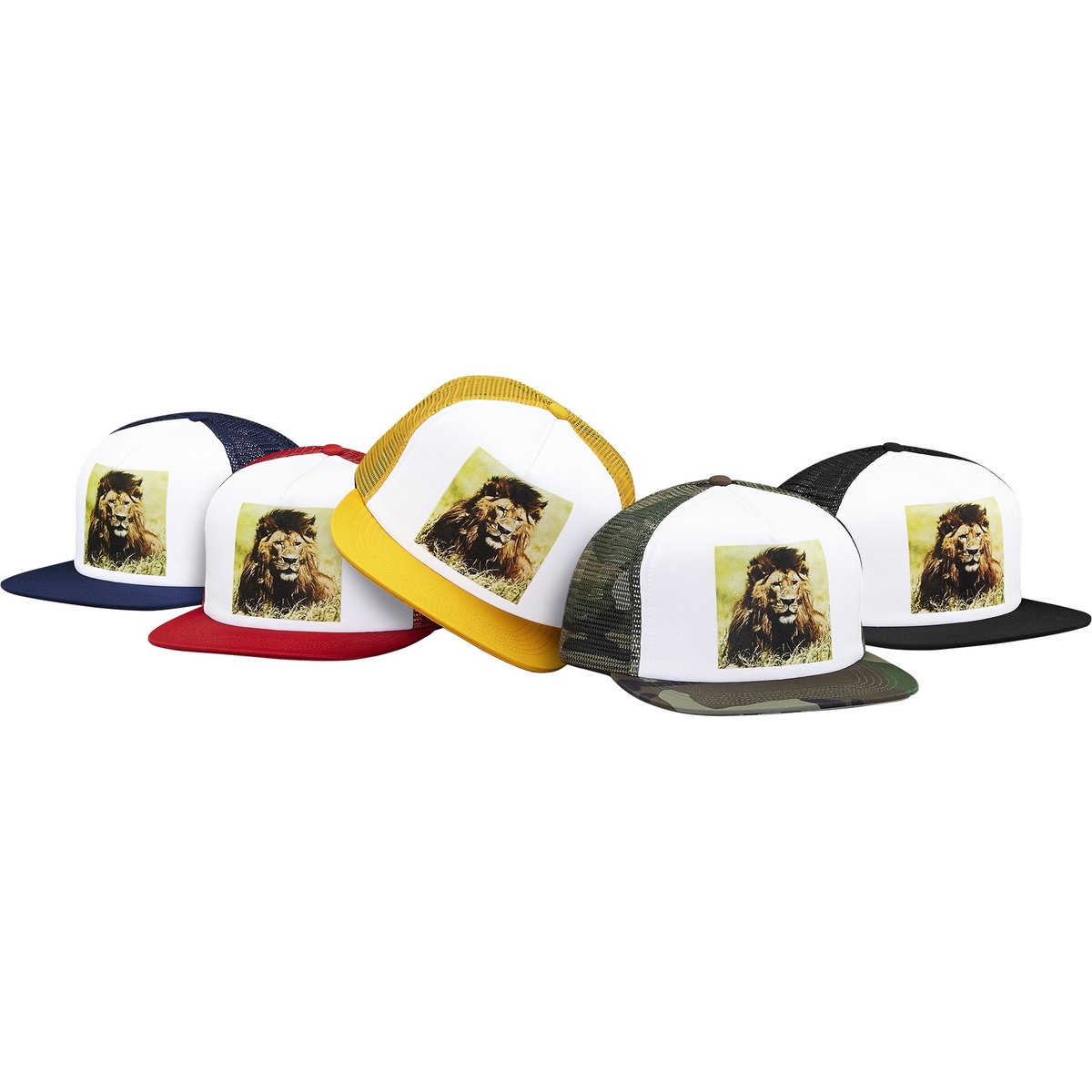 Supreme Lion Mesh Back 5-Panel (spring/summer 2015)