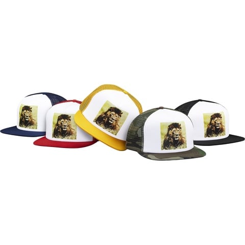 Supreme Lion Mesh Back 5-Panel
