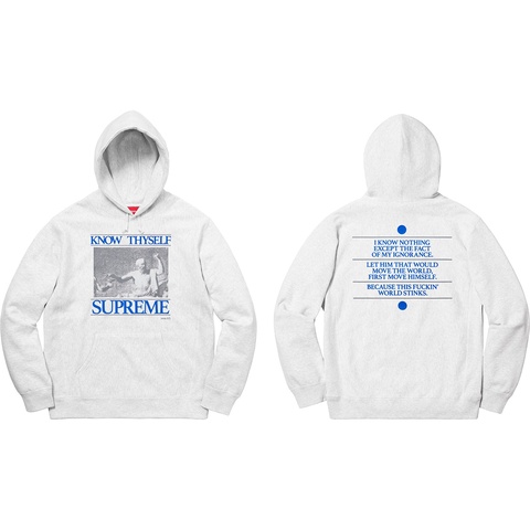 トップス SUPREME Know Thyself Hooded Sweatshirt L Supreme Know Thyself Hooded Sweatshirt Light Blue