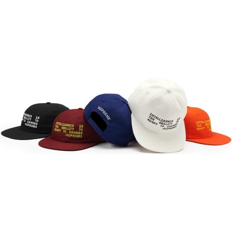 Supreme Intelligence 6-Panel - $44.00