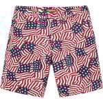 Supreme Work Short (SS20)