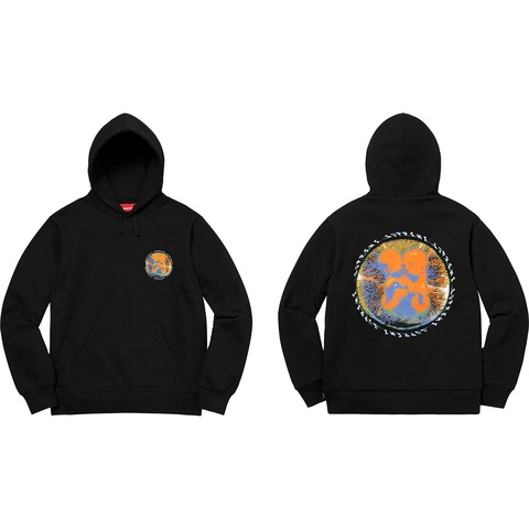 Supreme Embryo Hooded Sweatshirt - Colorway