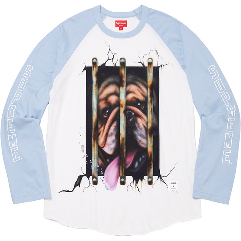 Supreme Dog Raglan L/S Top - Colorway