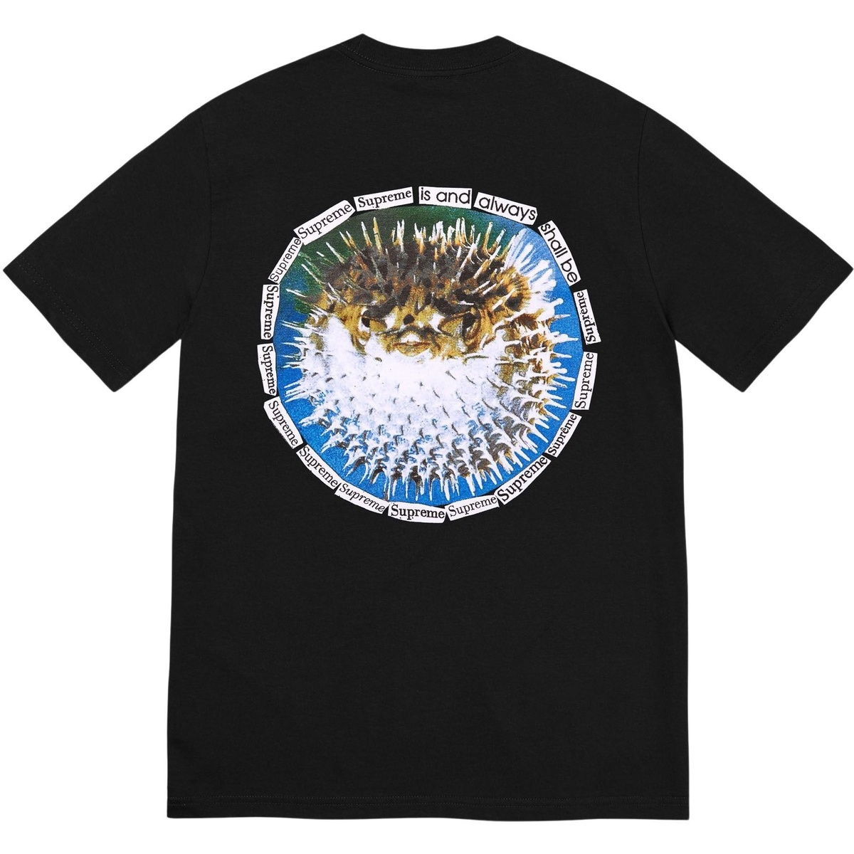 Supreme Blowfish Tee (spring/summer 2023) - $40.00