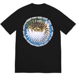 Supreme Blowfish Tee (SS23)