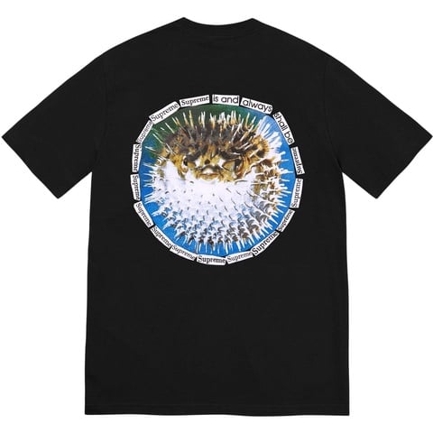 Supreme Blowfish Tee
