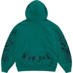 Supreme AOI Zip Up Hooded Sweatshirt (SS24) - Teal