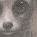 Supreme Margaret Keane Best Friends S S Top (SS24) - Grey