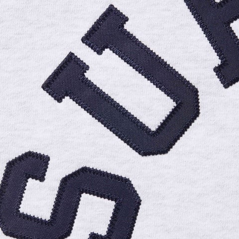 Supreme Supreme®/Champion® Zip Up Hooded Sweatshirt - Ash Grey