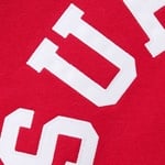 Supreme Supreme Champion Zip Up Hooded Sweatshirt (SS24) - Red