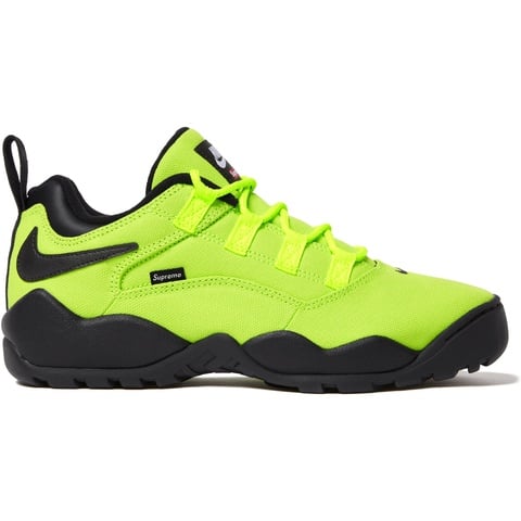 Supreme Supreme®/Nike SB Darwin Low - Green