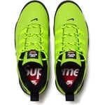 Supreme Supreme Nike SB Darwin Low (SS24) - Green